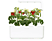 CLICK & GROW Tuinpot Smart Garden 3 (CG-SG3WHT)