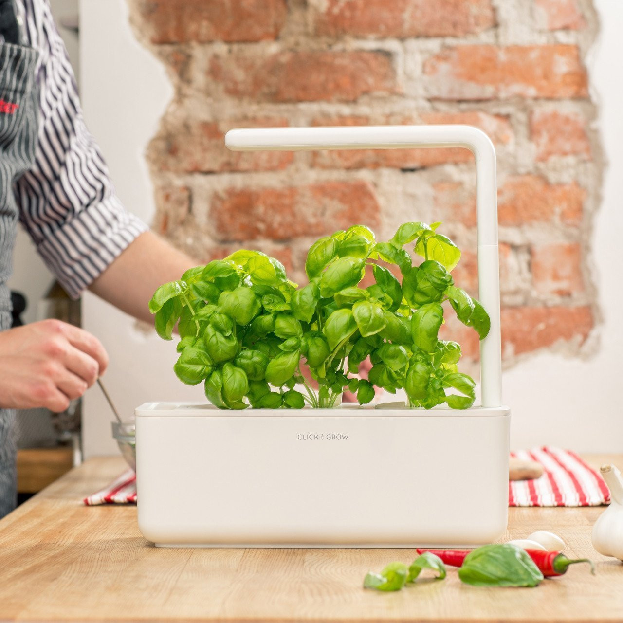 Binnentuin met basilicum. Witte bak, groeilamp en houten tafel. Bakstenen muur.