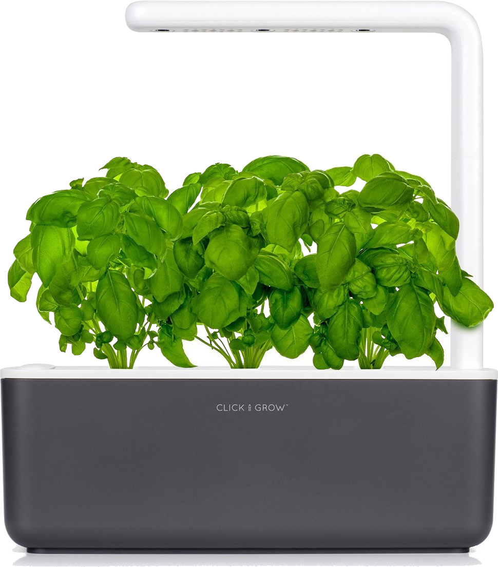 Een kleine binnentuin met groene planten die groeien in een donkergrijze container. Witte lichtbalk erboven.