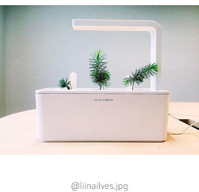 Witte binnentuin met drie kleine planten, met het label 'CLICK & GROW'.