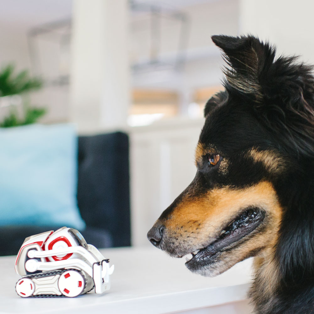 ANKI Cozmo Roboter Starter Kit 000-00067