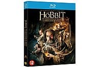 Le hobbit - La Désolation de Smaug Film