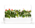 CLICK & GROW Jardin interieur Smart Garden 9 Blanc (CG-SG9WHT)