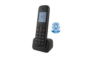 Schnurloses Telefon PANASONIC KX-TGE250GN Schnurloses Telefon | MediaMarkt