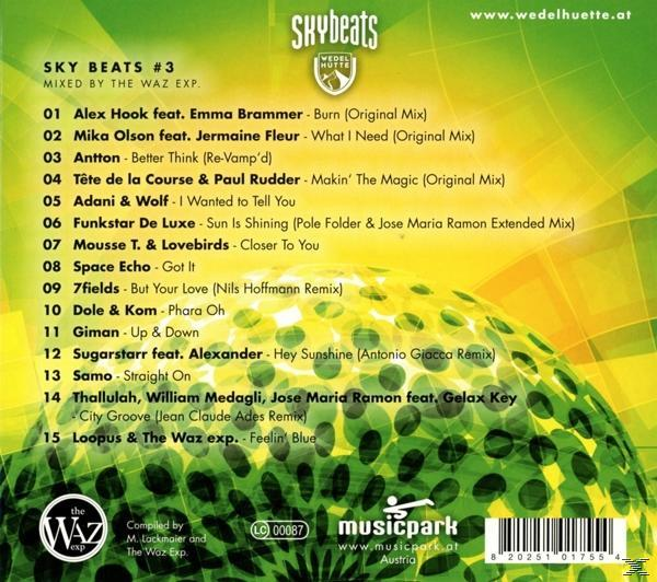 VARIOUS - Skybeats 3 (Wedelhütte)  - (CD)
