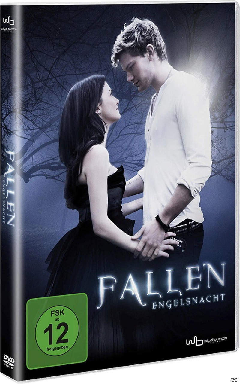 DVD-Cover von Fallen, ein Mann und eine Frau schauen sich an. Der Titel lautet Fallen Engelnacht.