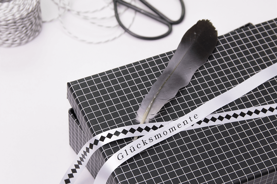 BROTHER TZe-R231 Textiles Schriftband schwarze Schrift auf weißem Textilband