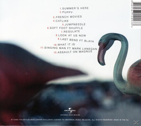 Achterkant albumhoes met tracklist en flamingo-figuur op voorgrond.
