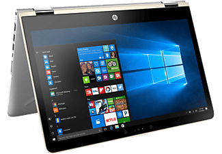 HP Pavilion x360 14-ba174nz - Convertible 2 in 1 Laptop (14 ", 256 GB SSD, Silber/Gold)