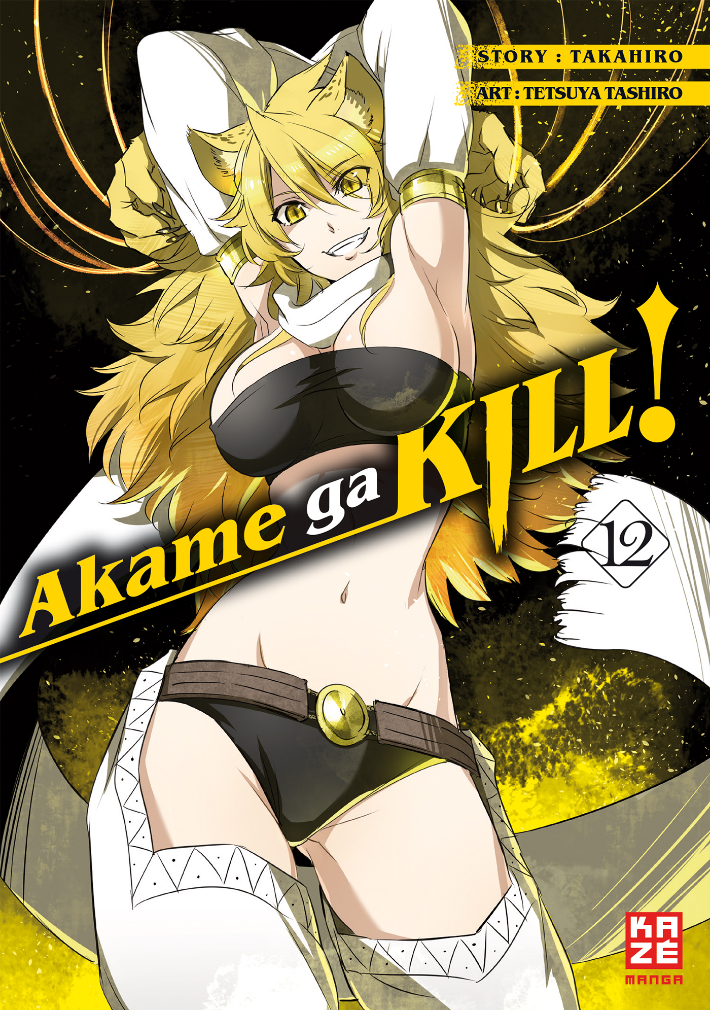 Akame ga Band 12 KILL! 