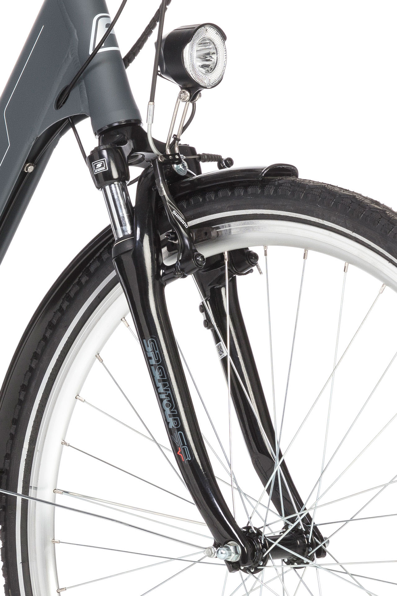 FISCHER ECU 1803-R1 Citybike (Laufradgröße: 28 Zoll, Damen-Rad, 396 Wh, Silber)