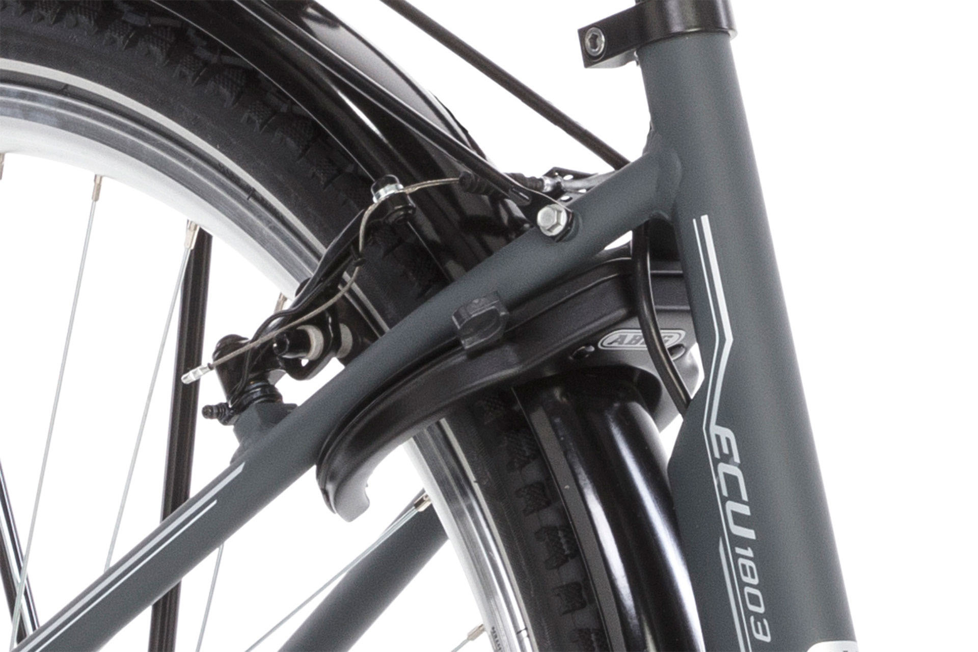 FISCHER ECU 1803-R1 Citybike (Laufradgröße: 28 Zoll, Damen-Rad, 396 Wh, Silber)