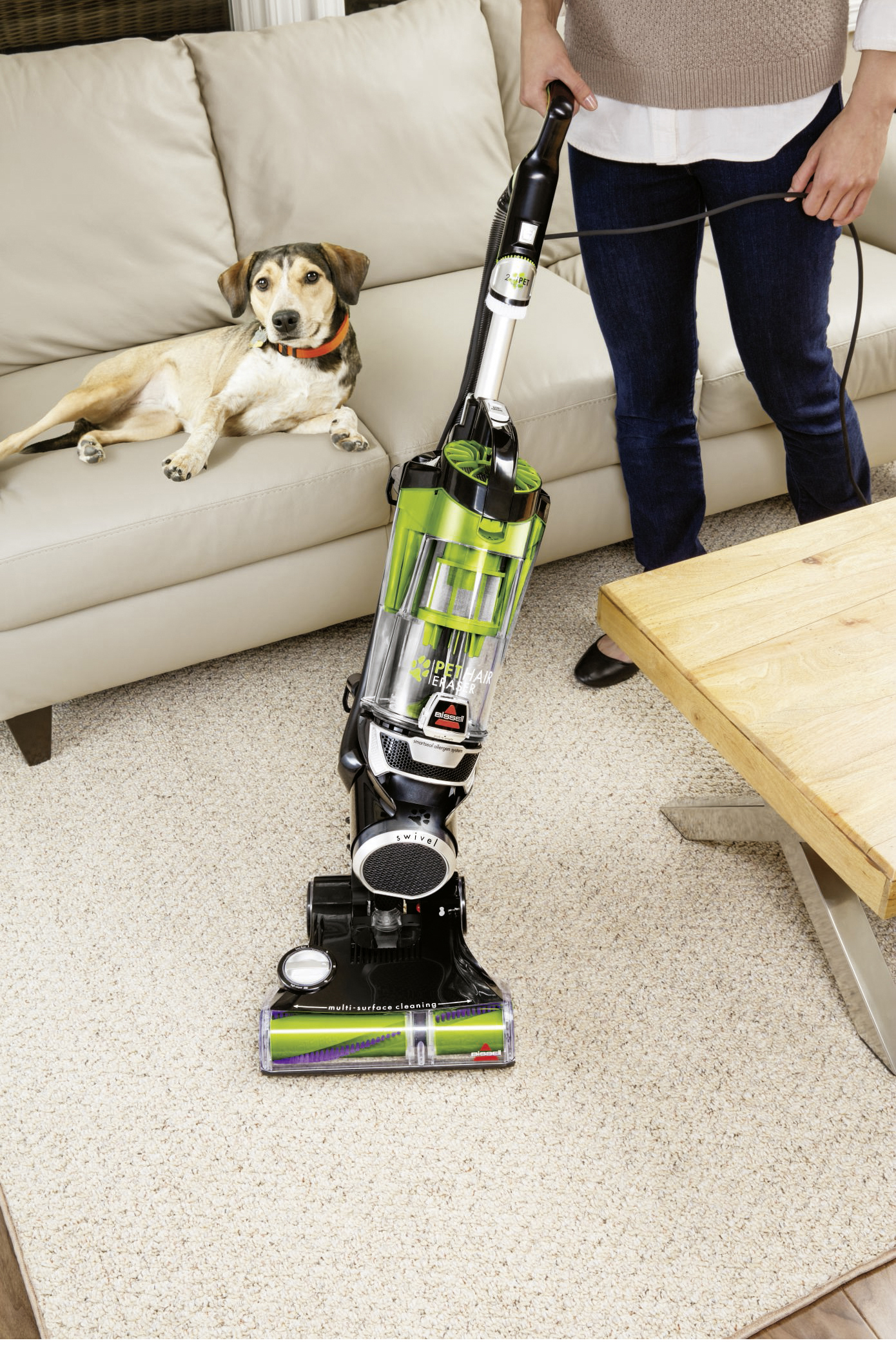 BISSELL 1941N Pet Hair Eraser Upright Stielsauger Stielsauger, maximale Leistung: 900 Watt