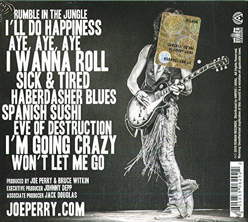 Albumhoes met tekst en een foto van een man die gitaar speelt.