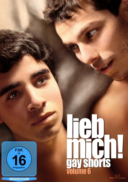 Lieb Mich!-Gay Shorts DVD Vol.6