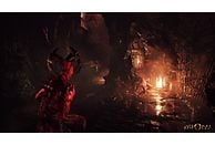 Agony NL/FR PC