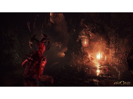 Agony FR/NL PC