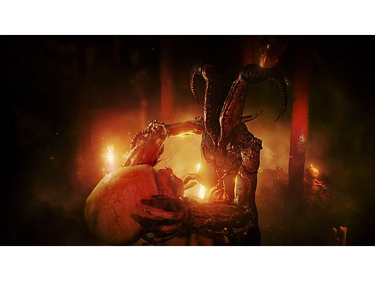 Agony NL/FR PC