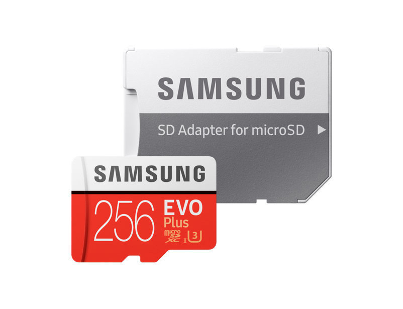SAMSUNG Evo Plus, Micro-SDXC Speicherkarte, 256 GB, 100 MB/s