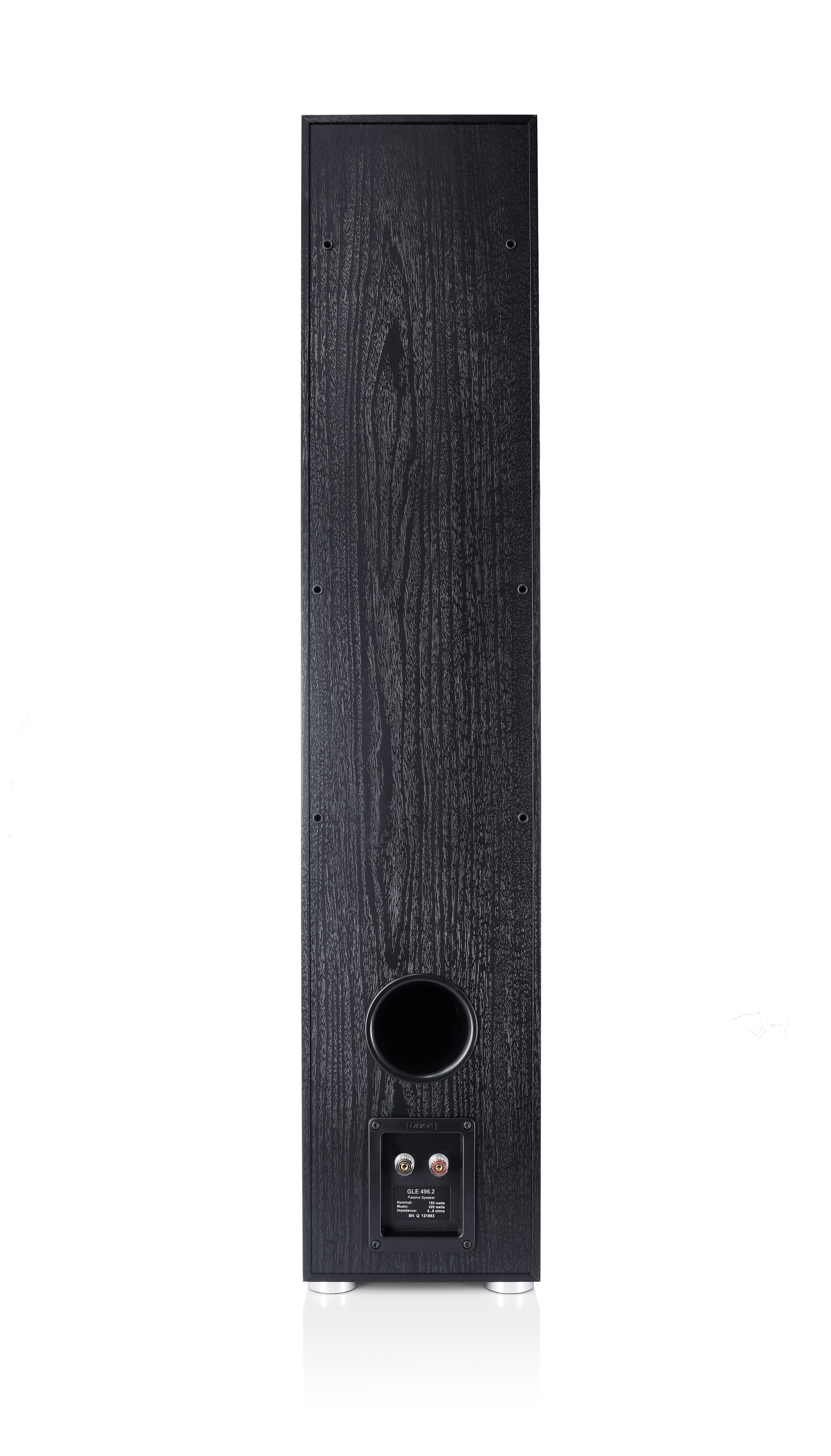 Ein schwarzer Holz-Lautsprecher, hoch und rechteckig, mit einem Subwoofer-Anschluss und Anschlüssen.