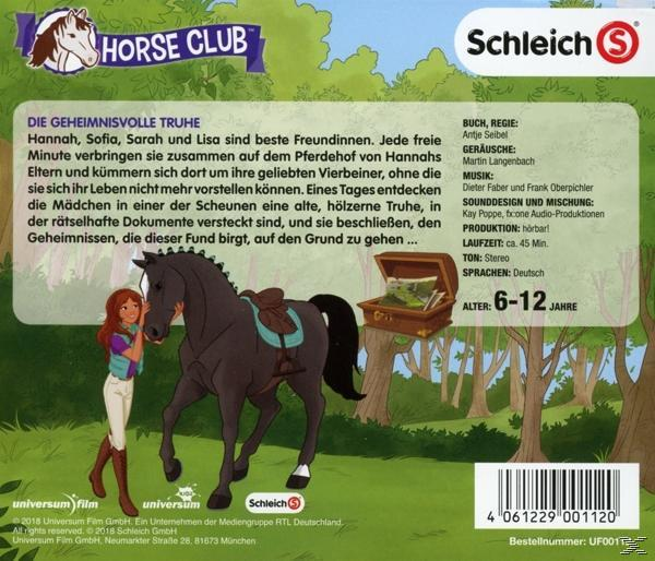 Rückseite eines "Horse Club" Buches mit Text, Illustrationen und einem Pferd.