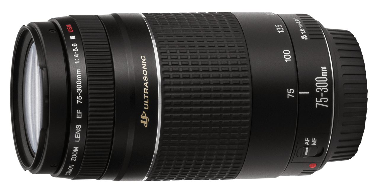 CANON EOS 2000D + EF-S 18-55mm + EF 75-300mm