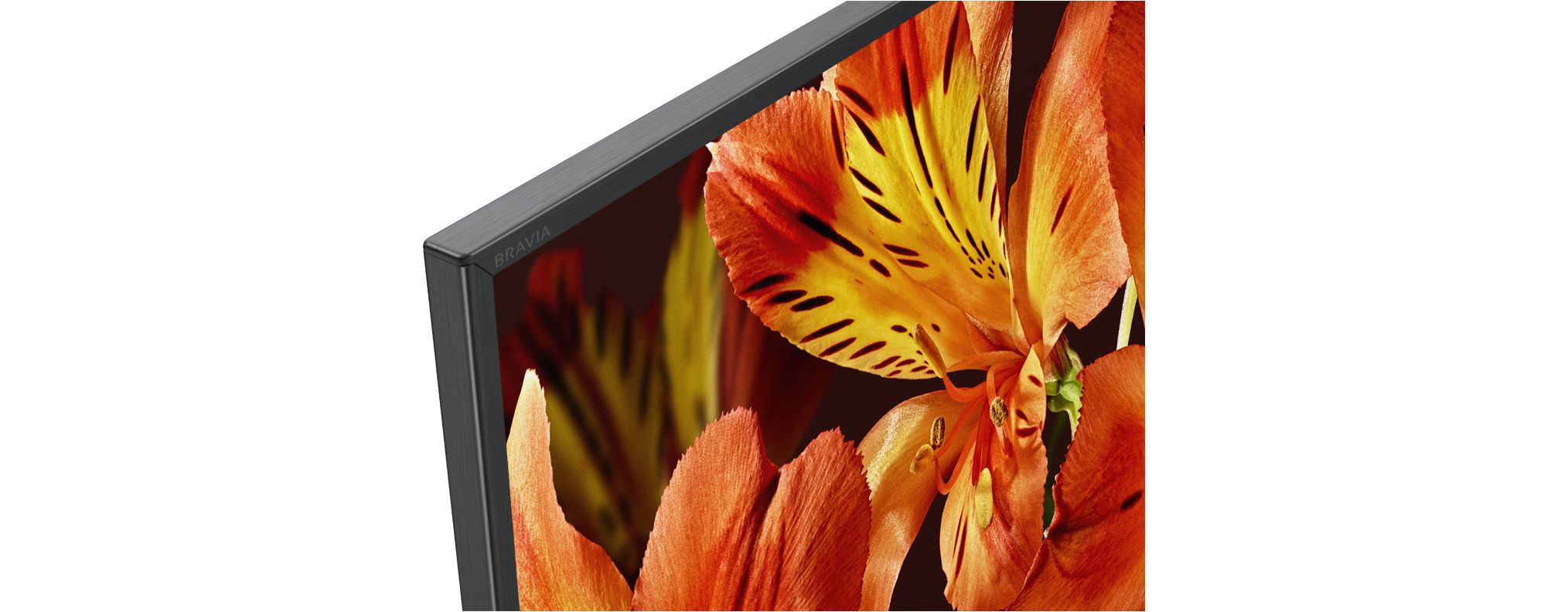 SONY Fernseher KD-49XF8505 49 Zoll, 4K Ultra HD Bravia LED Android TV, schwarz