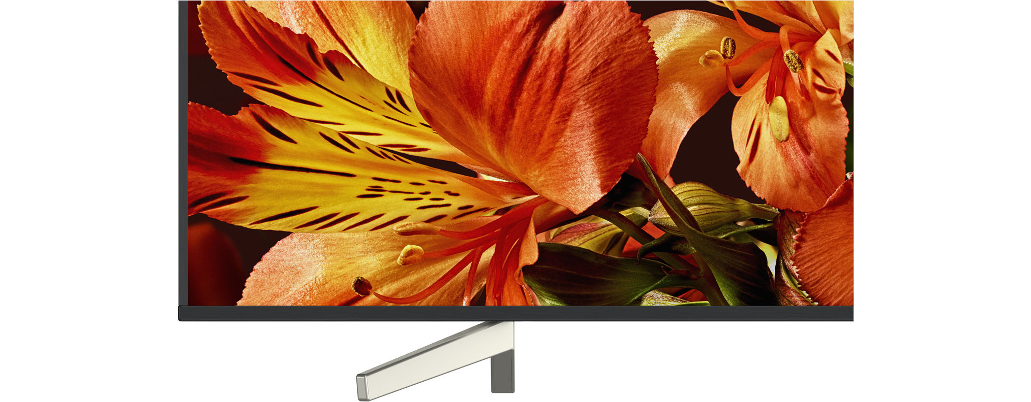 Computermonitor mit Blumen, orange und gelbe Blütenblätter auf dunklem Hintergrund.