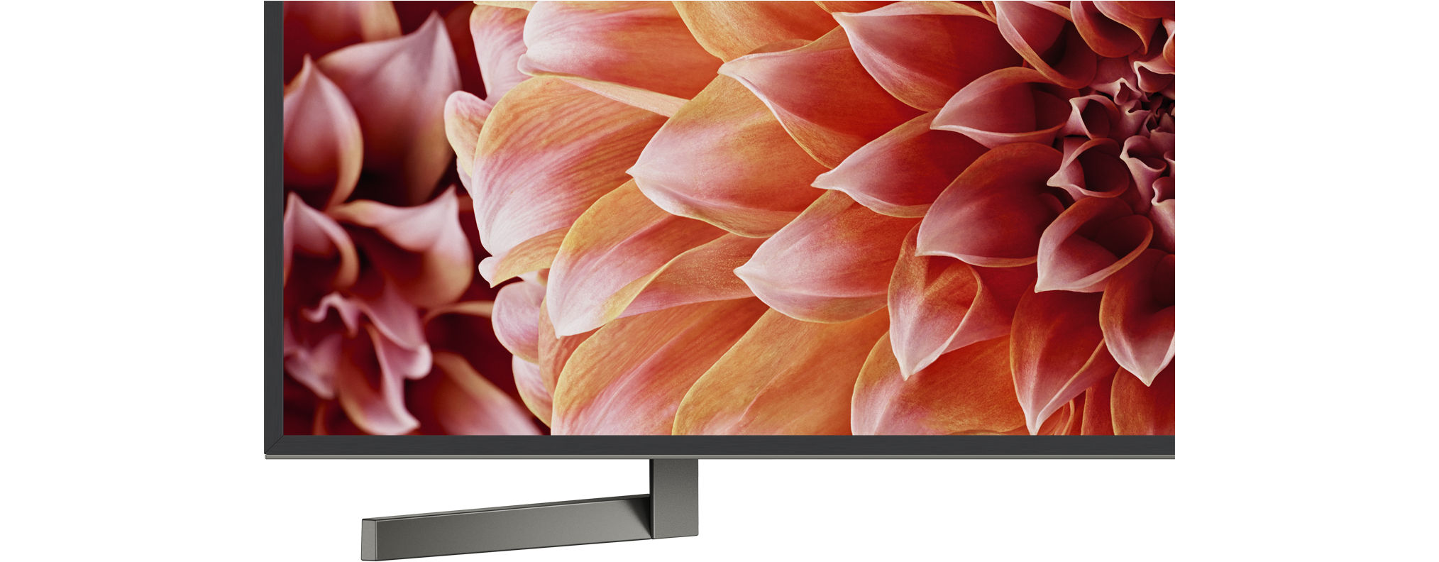 SONY Fernseher KD-55XF9005 55 Zoll, 4K Ultra HD LED Android TV