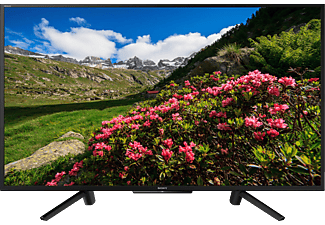 SONY KDL-43RF455 - TV (43 ", Full-HD, )