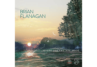 Brian Flanagan - Where Dreams Are Made  - (Vinyl)
