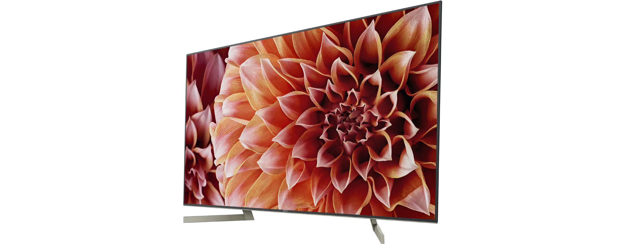 SONY Fernseher KD-55XF9005 55 Zoll, 4K Ultra HD LED Android TV