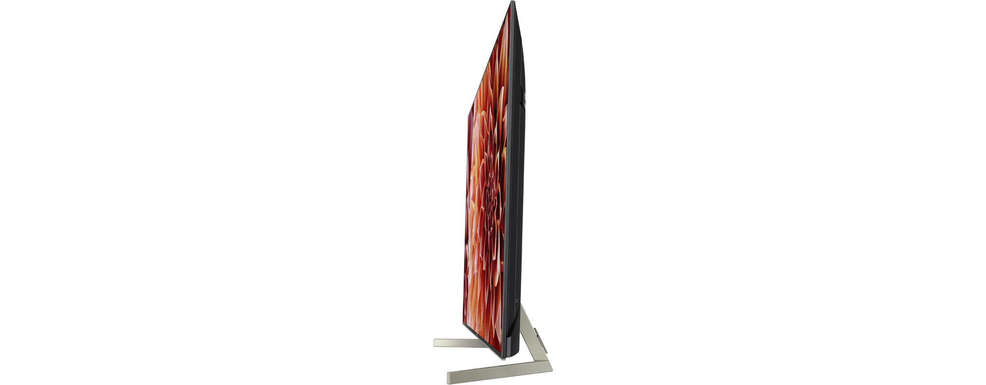 SONY Fernseher KD-55XF9005 55 Zoll, 4K Ultra HD LED Android TV