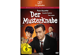Der Musterknabe DVD