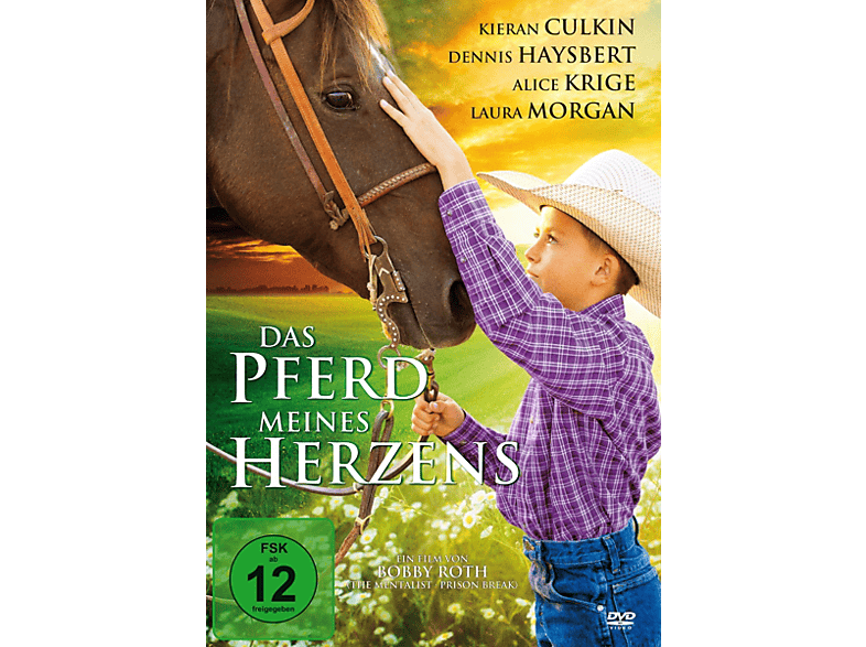 Amanda Das Wunderpferd Das Pferd Meines Herzens Dvd Online Kaufen Mediamarkt