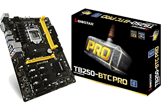 BIOSTAR TB250-BTC PRO Intel LGA1151P DDR4 Anakart