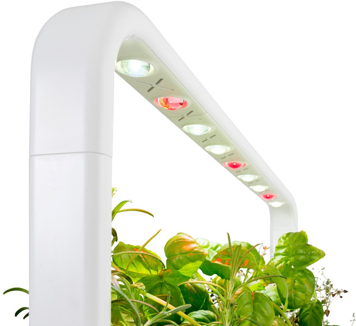 Een witte binnentuin met groene planten en een rij rode en witte LED-lampen.