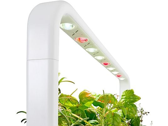 CLICK & GROW Jardin interieur Smart Garden 9 Noir (CG-SG9GREY)