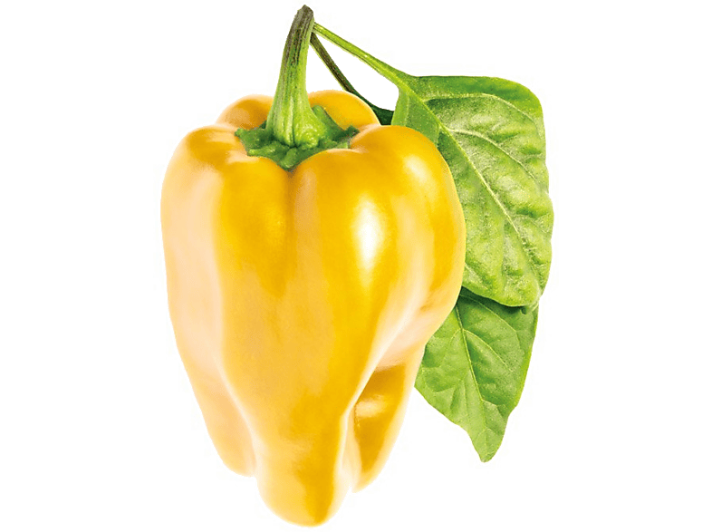 CLICK & GROW Sweet Peppers Refill 3-Pack (CNG REFILL SWEET PEP)