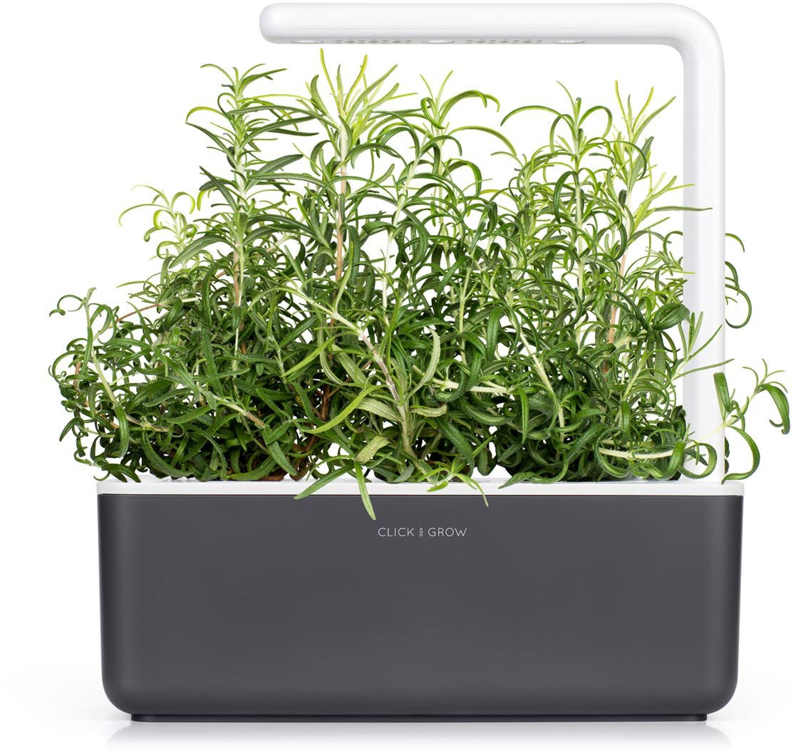Een rechthoekige binnentuin met groeiende rozemarijnplanten onder een wit licht.