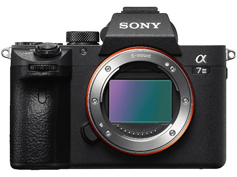 Sony ZVE10 cuerpo para videoblogs