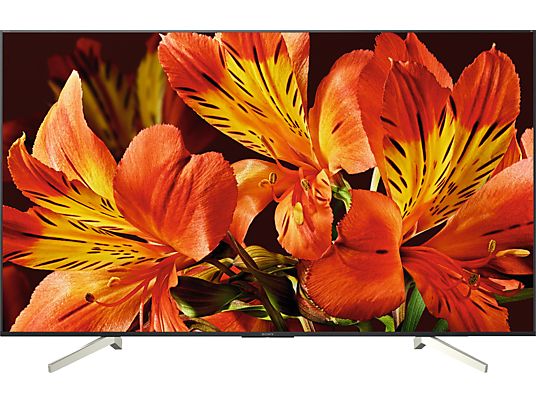 TV LED 85" - Sony KD85XF8596BAEP, Ultra HD 4K HDR Processor X1, Triluminos, Android TV