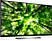 TV LG OLED65E8PLA 65" OLED Smart 4K
