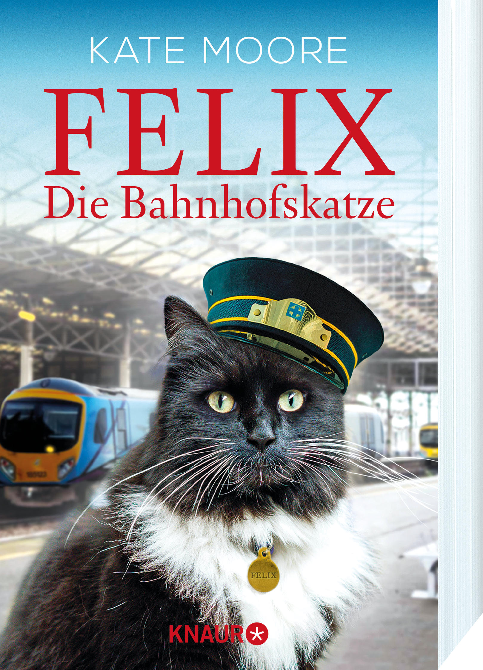 Felix - Die Bahnhofskatze