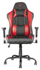 Gaming Sessel GXT 707R, schwarz/rot (22692)