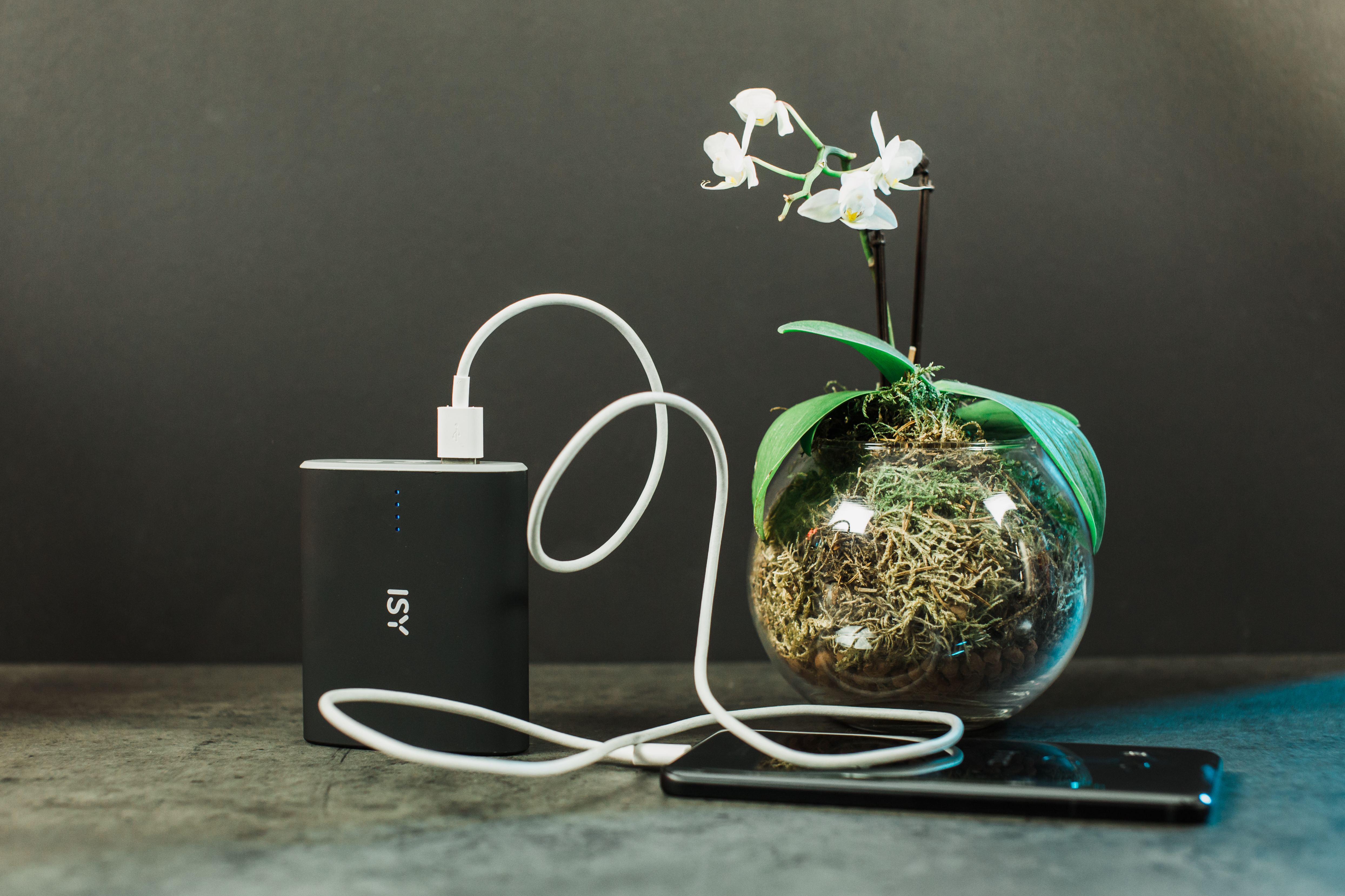 ISY IAP-4000 Powerbank 10000 mAh Schwarz