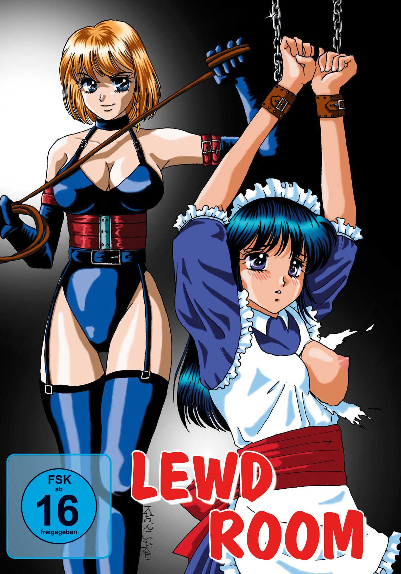 LEWD ROOM DVD