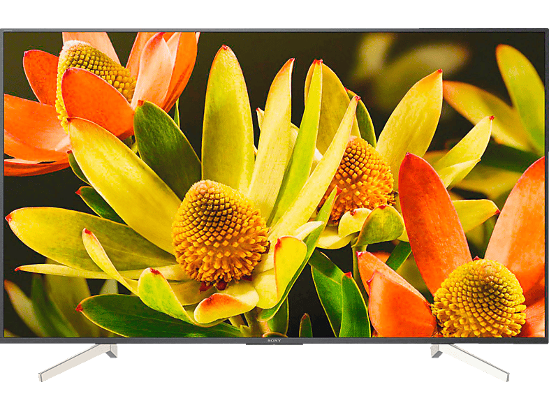 TV LED 60" | Sony KD60XF8305BAEP