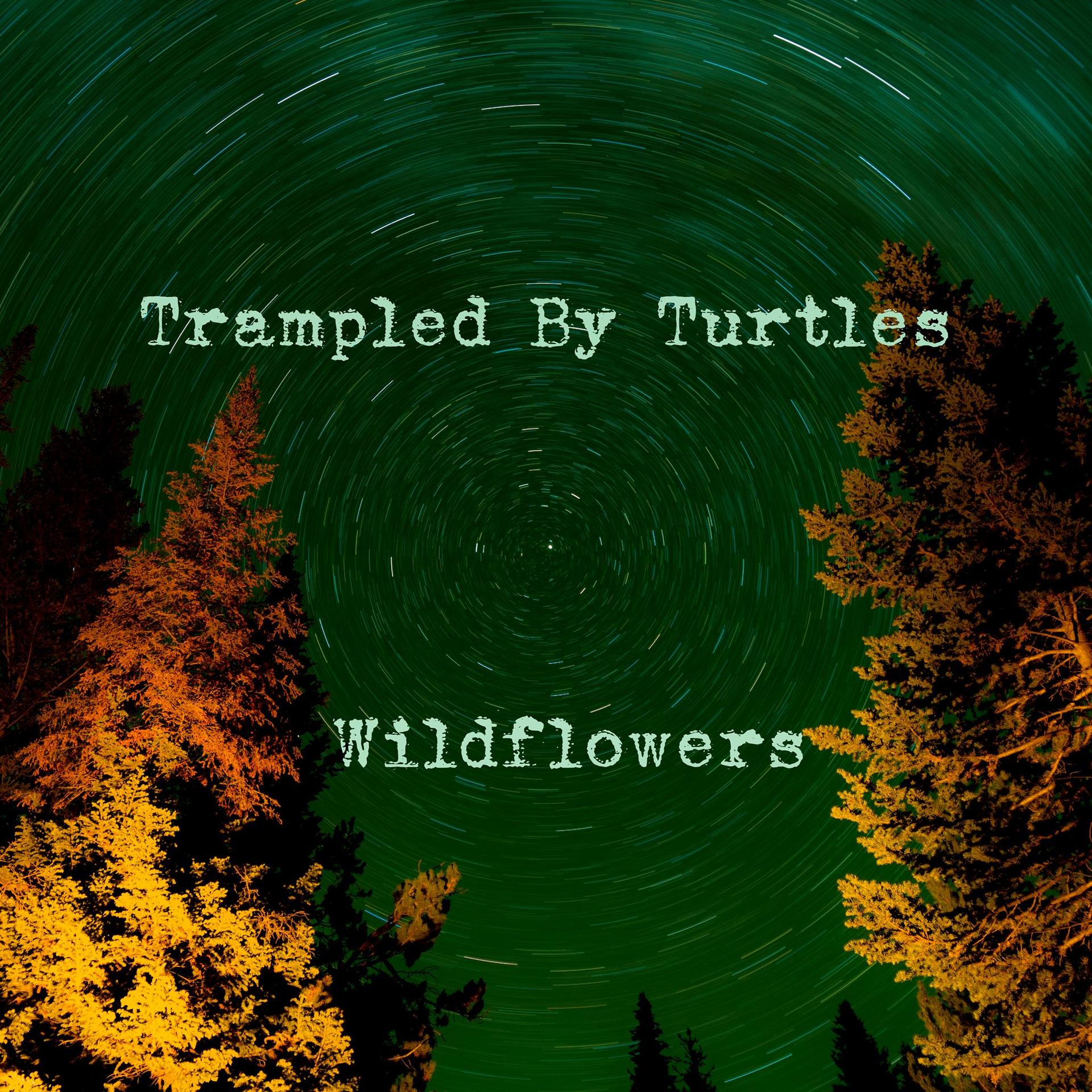 Trampled By Turtles - Wildflowers (Vinyl) (Vinyl Single) 