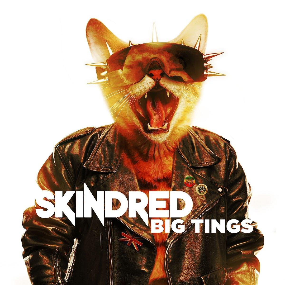 Skindred - Big Tings  - (CD)